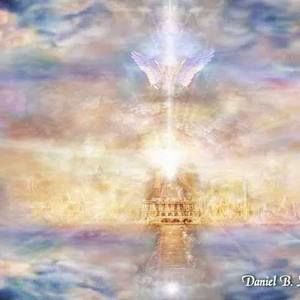 Meet your Posher, Calvin